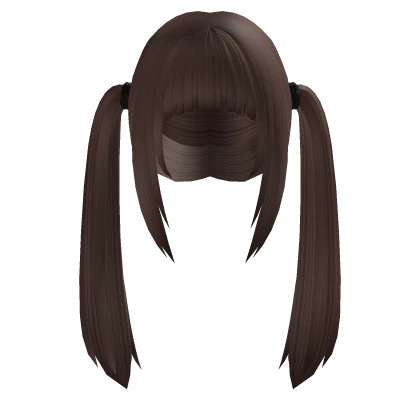 Neat Ponytails in Brown