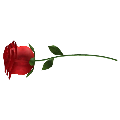 ✅ Rose