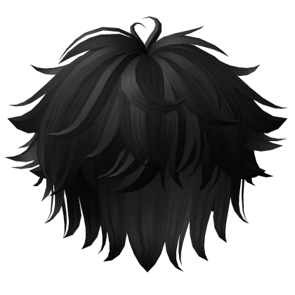 Fluffy Messy Anime Boy Hair Black