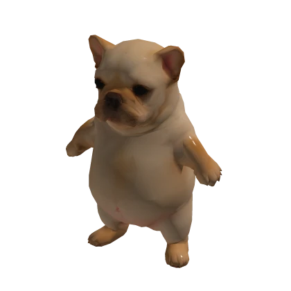 Wash My Bellay Pibble Dog