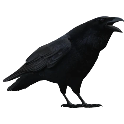 Raven (for avatars without hair)