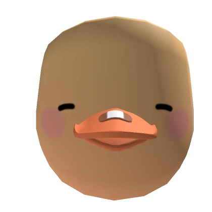 Cute Duck Mask