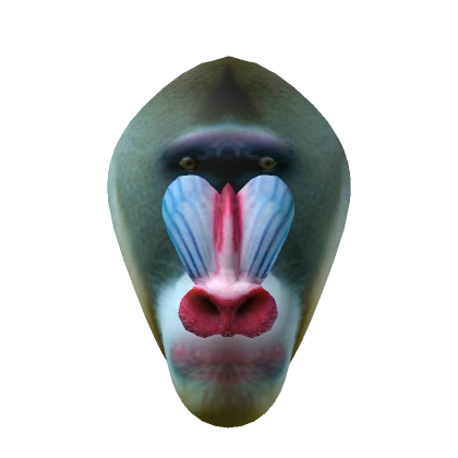 Realistic Mandrill