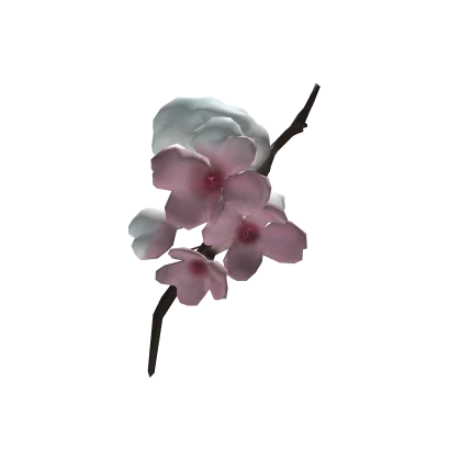 さくら snowy sakura branch in your hair 樱花