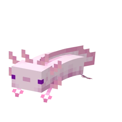 Axolotl 