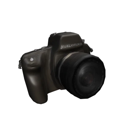 Realistic Video Camera