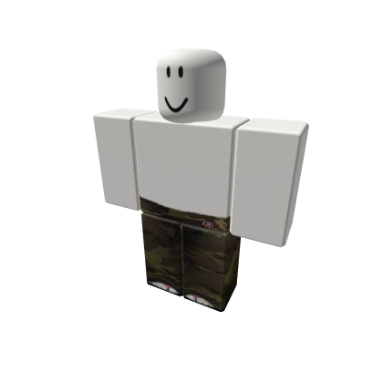 body basics 2.0 camo pants