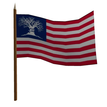 Haunted Mound American Flag (READ DESC)