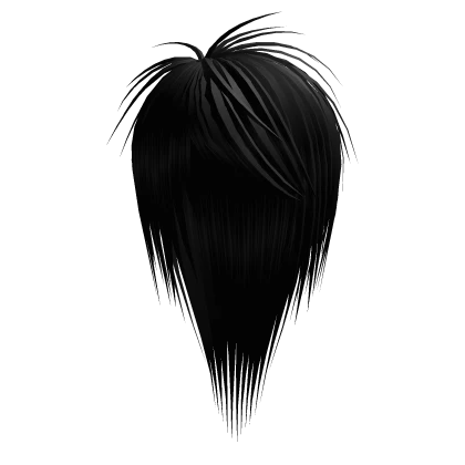 Black Long Messy Scene Hair