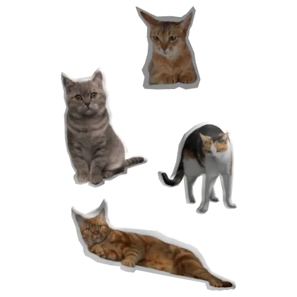 Kitty igari kei face stickers ♡