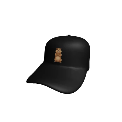 🧢 Groundhog Cap 🧢