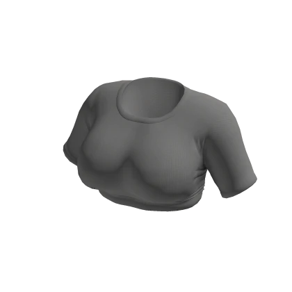 Grey Crop Tight T-shirt