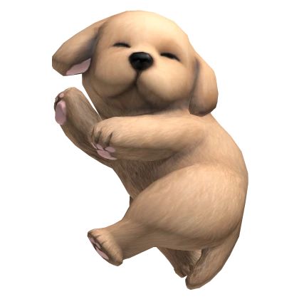 Sleeping Puppy Dog on Shoulder