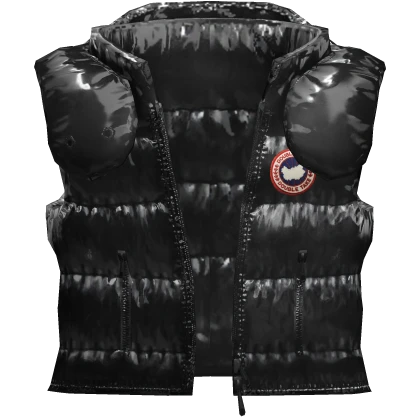 ⭐4.0 BOY | Shiny Goose Vest W Hood