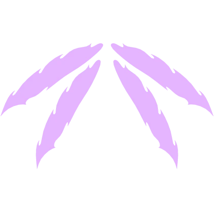 Beru Wings