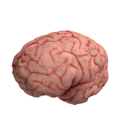 Big Brain 🤯 Funny Troll Hat ( for headless )