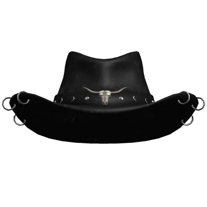 Black Cowboy Hat With Rings