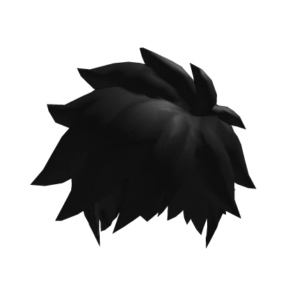 Black Fluffy Hair