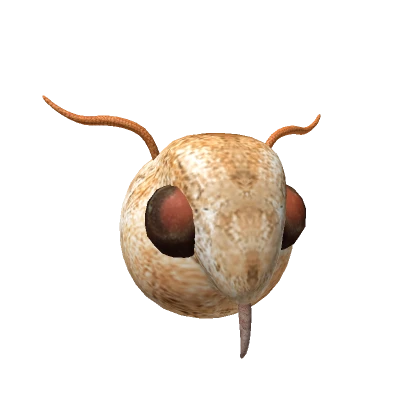 Realistic Moth Head