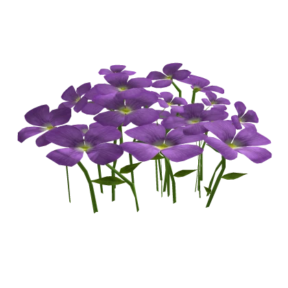 Bunch Of 💜 Purple Flowers ( in back ) 