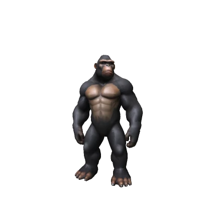 🐵 Realistic Gorilla Monkey 🐵 Funny Meme Animal