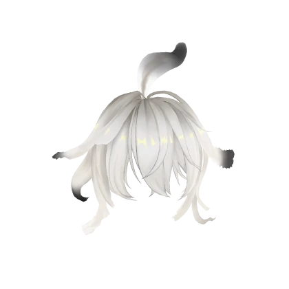 Zani's burst Bangs I WuWa