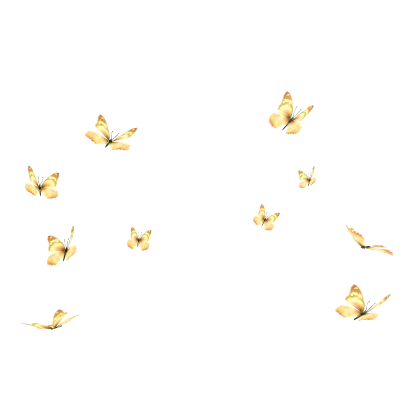 🦋 Gold Butterflies