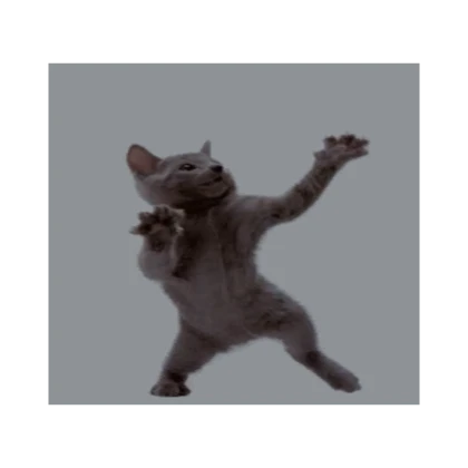 Dancing Cat Behind You [ANIMATED]