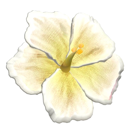 Summer Hibiscus Beach Flower