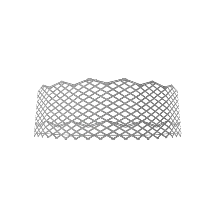White Lace mask
