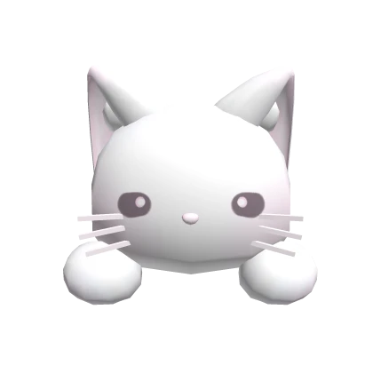  ꒰♡꒱ : sweet kawaii fluffy cute cat laying on head