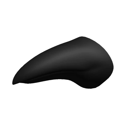 Black Long Bird Beak