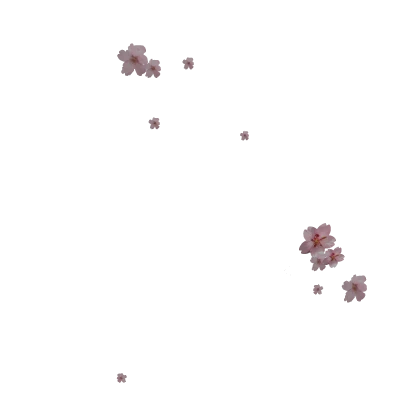 Cherry blossom infection