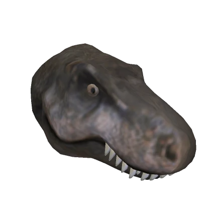 Realistic Trex Head  🦖