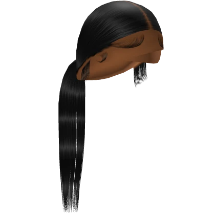 Sleek Low Ponytail