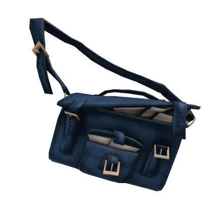 Blue Savvy Satchel 1.0