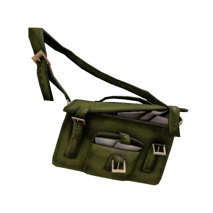 Green Savvy Satchel 1.0