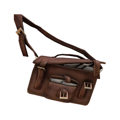 Brown Savvy Satchel 1.0