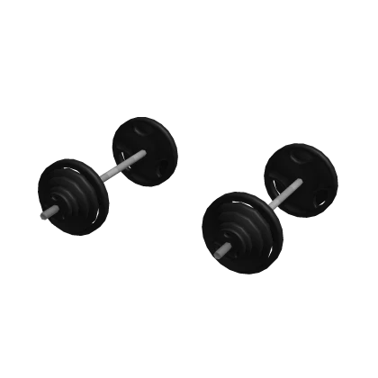 Barbell Dumbell Gym Weights Lifter