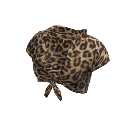 ☆ 2000s Knotted Tied Crop Top in Leopard Print