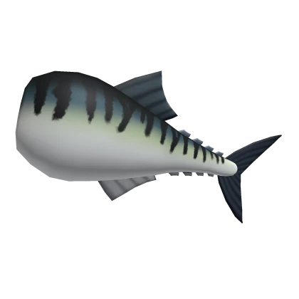 Mackerel Tail