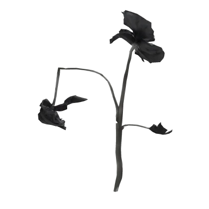 ♡ gothic decayed flowers 凋零花 ♡