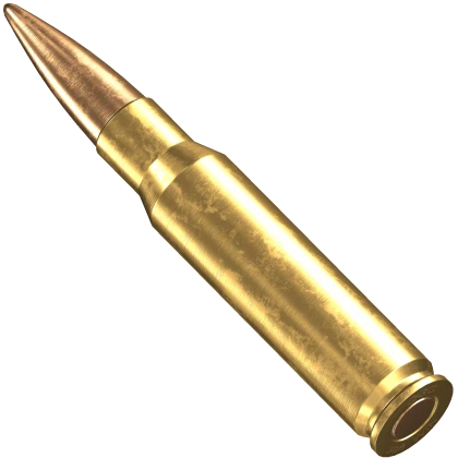 bullet In mouth