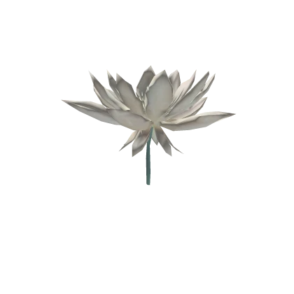 lotus flower hair clip ♡莲花