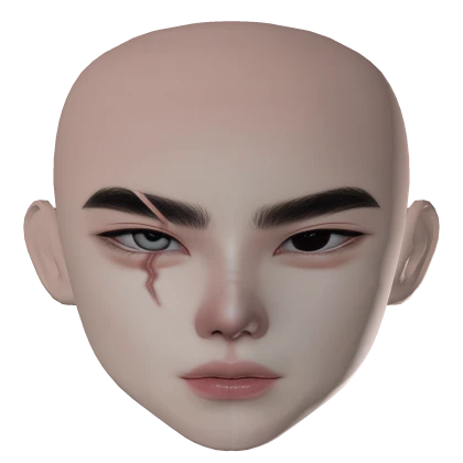 ZESLIN MALE GUY BOY FACE MAKEUP KOREAN ANIME