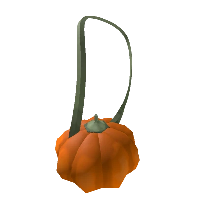 Pumpkin Bag