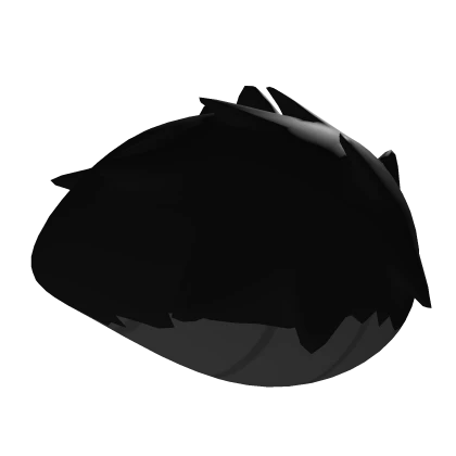 Fluffy Black Moth Abdomen