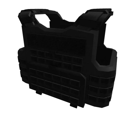 Heavy Tactical Vest