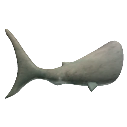 Realistic Sharktail