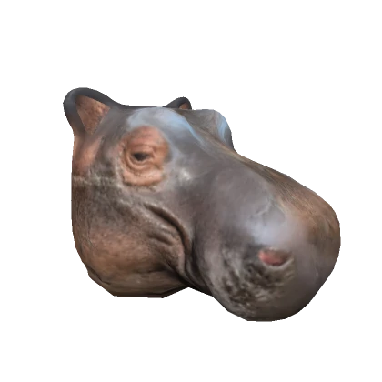 Realistic Hippo Head 🦛🦛